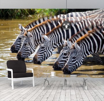 Bild på Zebras drinking water Tanzania